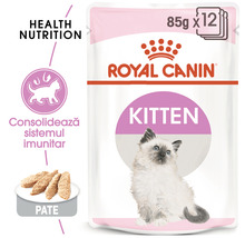Hrană umedă pentru pisici Royal Canin Kitten Mousse-thumb-2