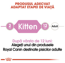 Hrană umedă pentru pisici Royal Canin Kitten Mousse-thumb-5