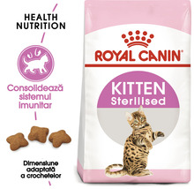 Hrană uscată pentru pisici Royal Canin FHN Kitten Sterilised, 400 g-thumb-1