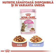 Hrană uscată pentru pisici Royal Canin FHN Kitten Sterilised, 400 g-thumb-5