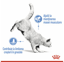 Hrană uscată pentru pisici ROYAL CANIN Light Weight Care, 1,5 kg-thumb-4