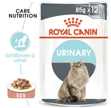 Hrană umedă pentru pisici Royal Canin Urinary Care 85 g-thumb-3