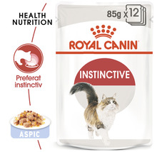 Hrană umedă pentru pisici Royal Canin Instinctive în gelatina, 85 g-thumb-2