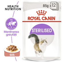Hrană umedă pentru pisici Royal Canin FHN Sterlised, 85 g-thumb-2