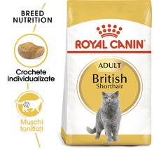 Hrană uscată pentru pisici, ROYAL CANIN British Shorthair 34, 2 kg-thumb-3