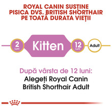 Hrană uscată pentru pisici, Royal Canin Kitten British Shorthair, 2 kg-thumb-5