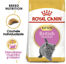 Hrană uscată pentru pisici, Royal Canin Kitten British Shorthair, 2 kg-thumb-2