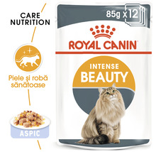 Hrană umedă pentru pisici, Royal Canin Intense Beauty în aspic 85 g-thumb-2