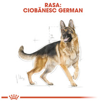 Hrană uscată pentru câini Royal canin BHN Ciobănesc German Adult, 11 kg-thumb-5