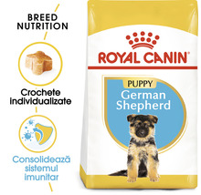 Hrană uscată pentru câini, ROYAL CANIN Ciobănesc German Junior 12 kg-thumb-2