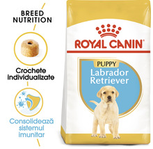 Hrană pentru câini Royal Canin Labrador Retriever Junior 12 kg-thumb-2