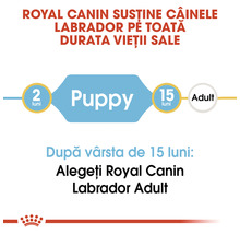 Hrană pentru câini Royal Canin Labrador Retriever Junior 12 kg-thumb-5