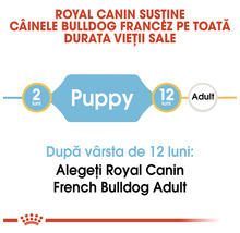 Hrană uscată pentru câini, ROYAL CANIN BHN French Bulldog Junior, 3 kg-thumb-5
