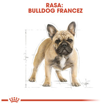 Hrană uscată pentru câini, Royal Canin French Bulldog Adult, 3 kg-thumb-5