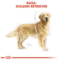 Hrană uscată pentru câini, Royal canin Golden Retriever 25, 12 kg-thumb-5