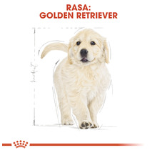 Hrană uscată pentru câini ROYAL CANIN Golden Retriever Junior 12 kg-thumb-6