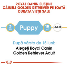 Hrană uscată pentru câini ROYAL CANIN Golden Retriever Junior 12 kg-thumb-5