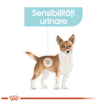 Hrană uscată pentru câini, ROYAL CANIN Urinary Care Mini 1 kg-thumb-5