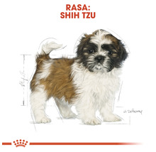 Hrană uscată pentru câîni, Royal Canin Shih Tzu Junior 1,5 kg-thumb-6