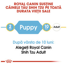 Hrană uscată pentru câîni, Royal Canin Shih Tzu Junior 1,5 kg-thumb-5