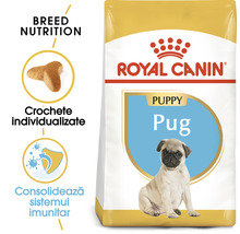 Hrană uscată pentru câini Royal Canin Pug Junior, 1,5 kg-thumb-2