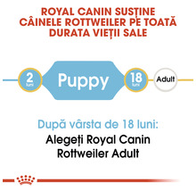 Hrană uscată pentru câini ROYAL CANIN Rotweiller Junior 12 kg-thumb-5