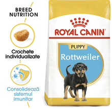 Hrană uscată pentru câini ROYAL CANIN Rotweiller Junior 12 kg-thumb-2
