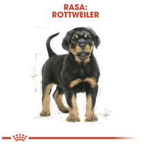 Hrană uscată pentru câini ROYAL CANIN Rotweiller Junior 12 kg-thumb-6