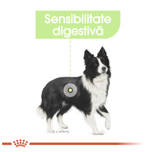 Hrană uscată pentru câini Royal Canin Medium Digestive Care 12 kg-thumb-6