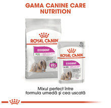 Hrană umedă pentru câini Royal Canin Exigent All Sizes 12x85 g-thumb-7