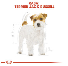 Hrană uscată pentru câini Royal Canin Jack Russell Terrier Adult 1,5 kg-thumb-5
