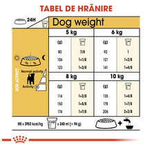 Hrană uscată pentru câini Royal Canin Jack Russell Terrier Adult 1,5 kg-thumb-1