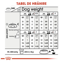 Hrană uscată pentru câini, ROYAL CANIN Mini Sterilised, 8 kg-thumb-1