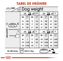 Hrană uscată pentru câini, ROYAL CANIN Coat Care Mini 1 kg-thumb-1