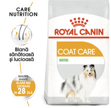 Hrană uscată pentru câini, ROYAL CANIN Coat Care Mini 1 kg-thumb-2