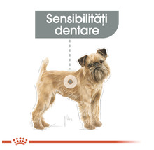 Hrană uscată pentru câini, ROYAL CANIN Dental Care Mini 1 kg-thumb-5