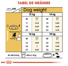 Hrană uscată câini Royal Canin Beagle Adult 3 kg-thumb-1