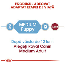 Hrană uscată pentru câini Royal Canin Medium Puppy 15 kg-thumb-4