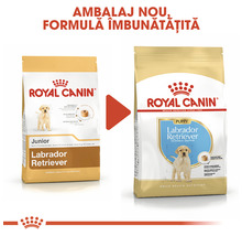 Hrană pentru câini Royal Canin Labrador Retriever Junior 12 kg-thumb-7