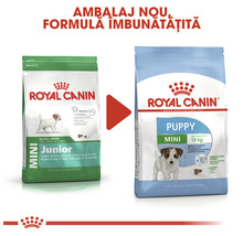 Hrană uscată pentru câini Royal Canin Mini Puppy 0,8 kg-thumb-6
