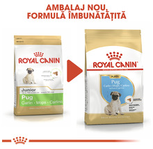 Hrană uscată pentru câini Royal Canin Pug Junior, 1,5 kg-thumb-7