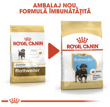 Hrană uscată pentru câini ROYAL CANIN Rotweiller Junior 12 kg-thumb-7