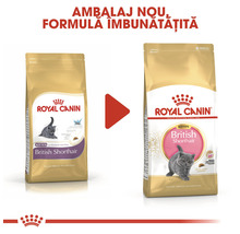 Hrană uscată pentru pisici, Royal Canin Kitten British Shorthair, 2 kg-thumb-7