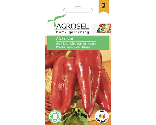 Semințe de ardei lung Agrosel Alexandru PG2