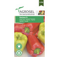 Semințe de ardei gras Agrosel Daciana F1 PG3
