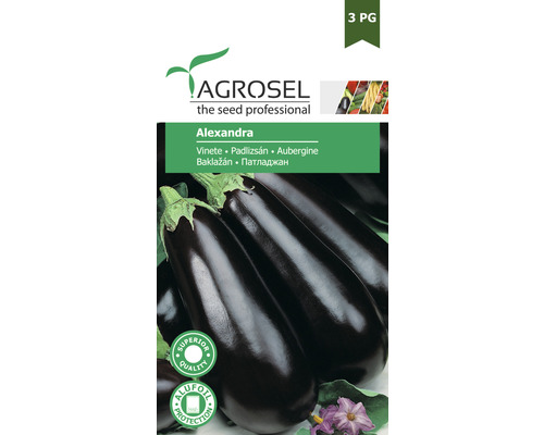 Semințe de vinete Agrosel Alexandra PG3