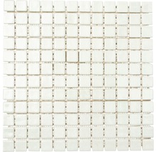 Mozaic sticlă M AS 1010 alb 30,5x32 cm-thumb-0