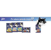 Hrană umedă pentru pisici PURINA Felix Fantastic Junior cu pui în aspic 85 g-thumb-4