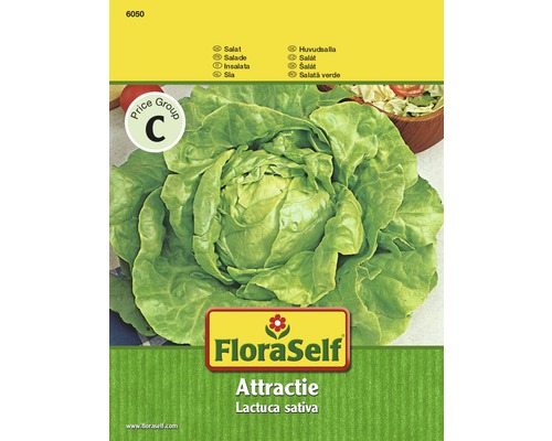 FloraSelf semințe de salată "Attractie"
