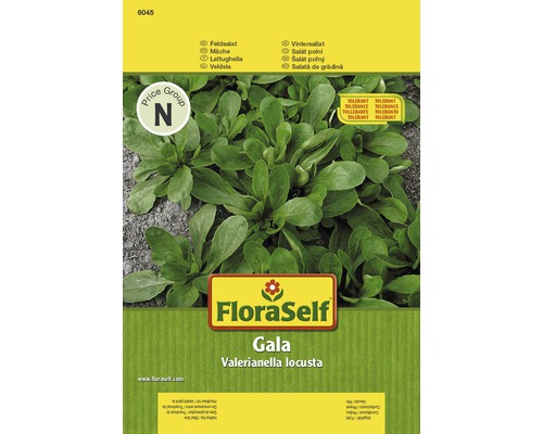 FloraSelf semințe de salată fetică "Gala"